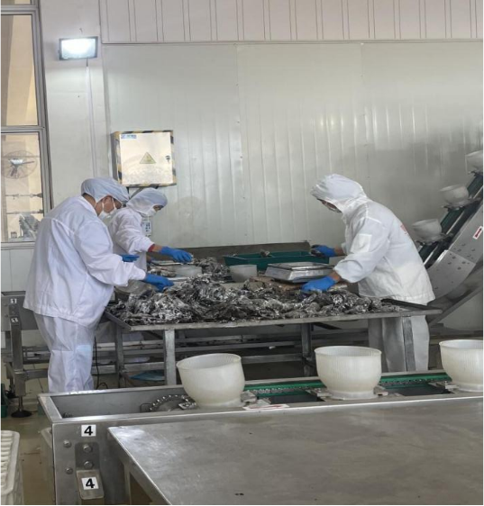 1744856968997990.png 7.png